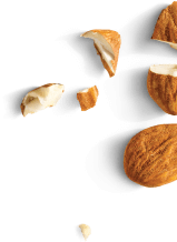BG Image 2